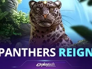 Panther's Reign game cover